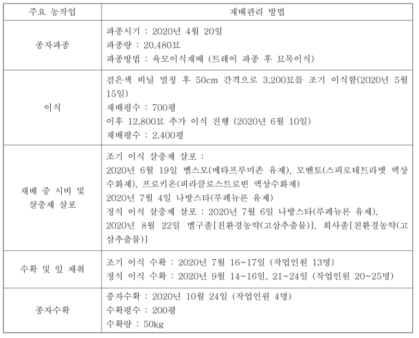 1차년도 차조기 재배 관리 방법