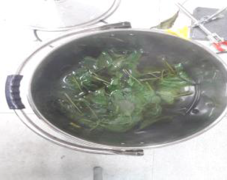 차조기 블랜칭(Blanching)