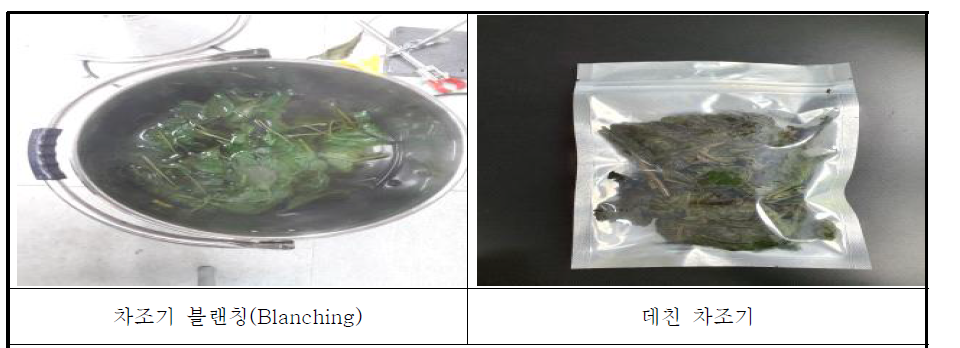 차조기 블렌칭 및 데친 차조기 사진