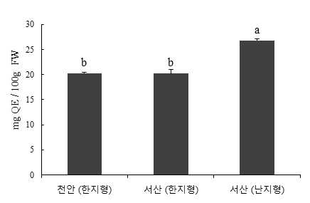 천안 마늘과 서산마늘의 총 플라보노이드