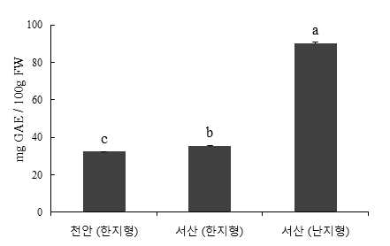 천안마늘과 서산마늘의 총 페놀