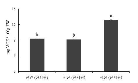 천안마늘과 서산마늘의 항산화 능력 (DPPH)