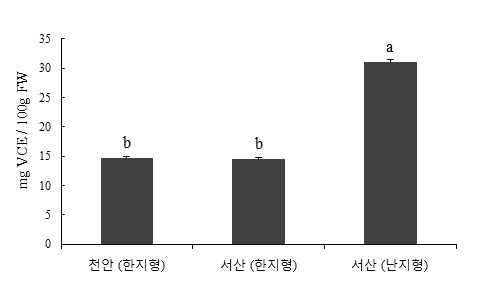 천안마늘과 서산마늘의 항산화 능력 (ABTS)