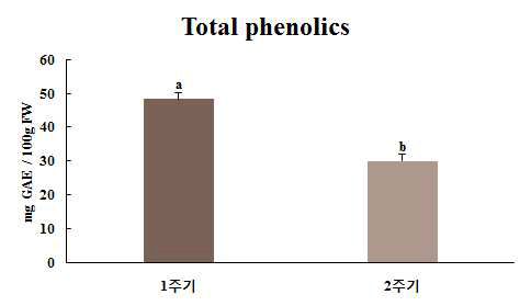 표고버섯 ‘L808’의 주기에 따른 총 페놀 함량