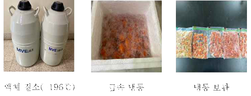 방울토마토의 전처리 과정