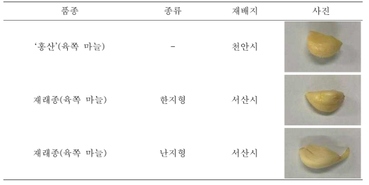 향미 특성 분석을 위한 마늘 품종