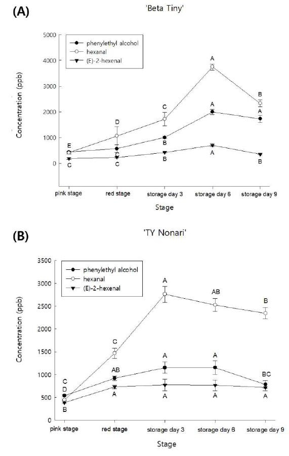 방울토마토 ‘Beta Tiny’와 ‘TY Nonari’의 성숙 단계에 따른 phenylethyl alcohol, hexanal 및 (E)-2-hexenal의 함량 A-D significantly different (p<0.05) among stages in a line