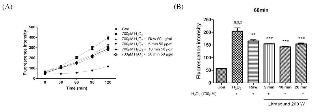 Effect of of Centella asiatica extracts (50 μg/ml) on ROS production. (A) Cells were pretreated with Centella asiatica extracts for 5 h and then incubated at 37℃ in the dark for 2 h with a culture medium containing 10 μM DCF-DA to monitor ROS production. (B) The intracellular ROS were measured by monitoring the fluorescence increase for 60 min. Values are expressed as the mean ± SE (n = 3). ###p<0.001, significant difference compared with control; **, *** p<0.05 and 0.01 respectively, significant difference compared with H2O2-treated group