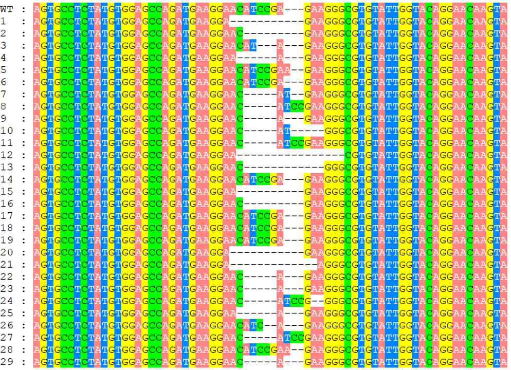 pBAtC_6sg 형질전환체 FAD2 유전자의 2번째 Target site align 결과