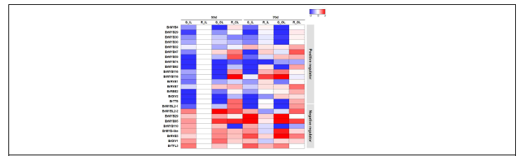 배추 발달단계별 RNA-seq 분석