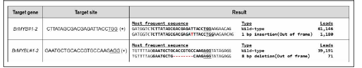 유전자 교정 형질전환체 deep sequencing 분석