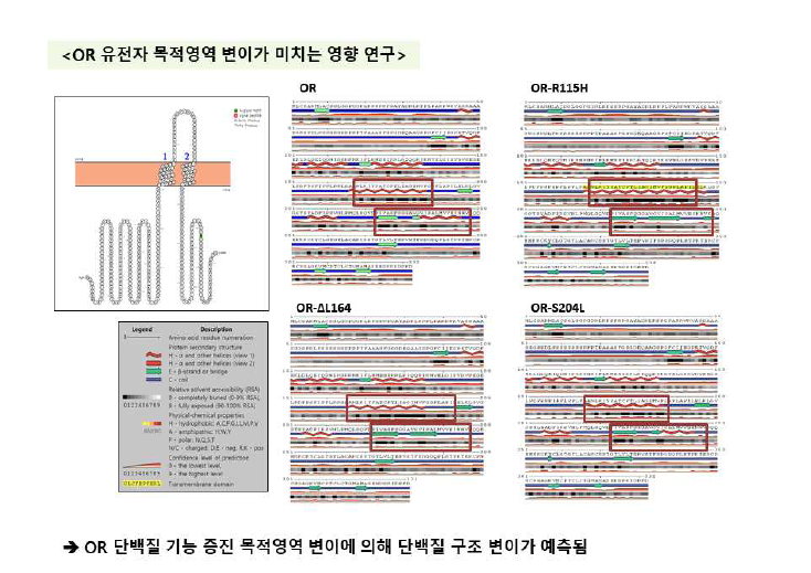 꽃양배추와 당근의 Golden-SNP 변이에 대한 OR 단백질의 세포 내 토폴로지 양상과의 연관성 분석