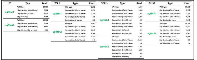BcFT, BcTCPs의 sgRNA의 in/del 발생유형 및 빈도