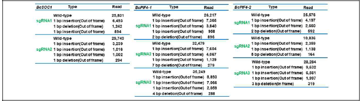 BcSOC1, BcPIF4s의 sgRNA의 in/del 발생유형 및 빈도