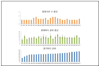 ERACTA 프로모터 편집체의 꽃대가지수, 꽃대마디길이, 줄기마디길이 측정