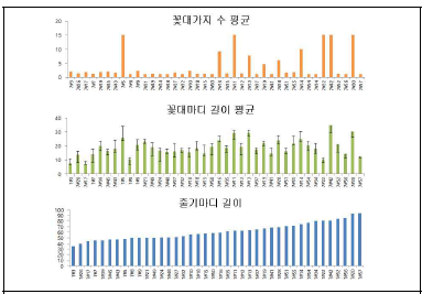 S프로모터 편집체의 꽃대가지수, 꽃대마디길이, 줄기마디길이 측정