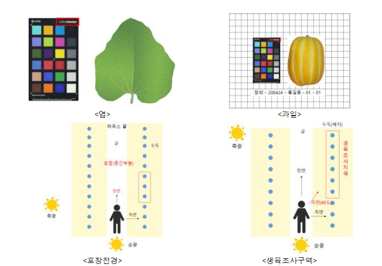 참외 스마트온실의 이미지데이터 수집방법