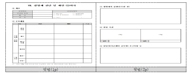 경영체 진단 및 제안 양식