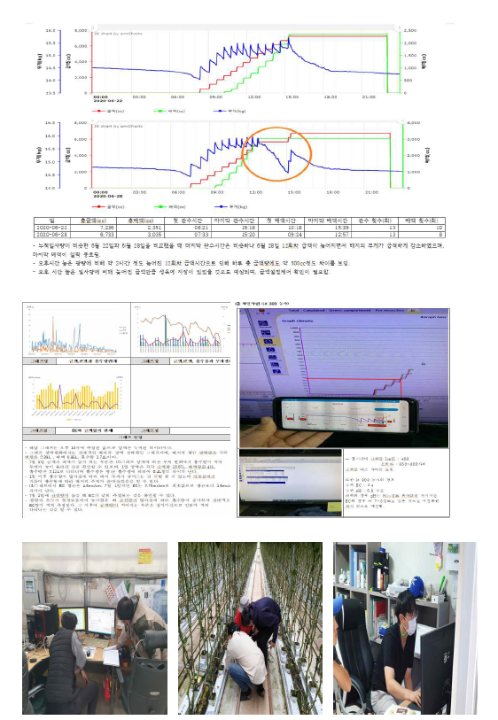 근권 컨설팅 예시