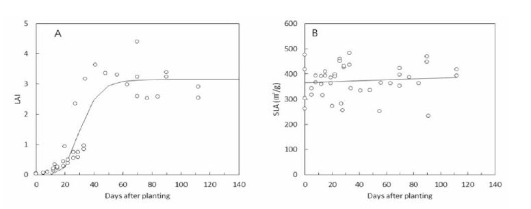 대과종 토마토 시뮬레이션 프로그램의 기본 데이터 세트를 제공하기 위한 정식 후 일수에 따른 엽면적지수(A)와 비엽면적(B) 모형. 엽면적지수(A)는 S생장함수를 이용하여 작성되었으며，비엽면적(B)은 선형함수를 이용함