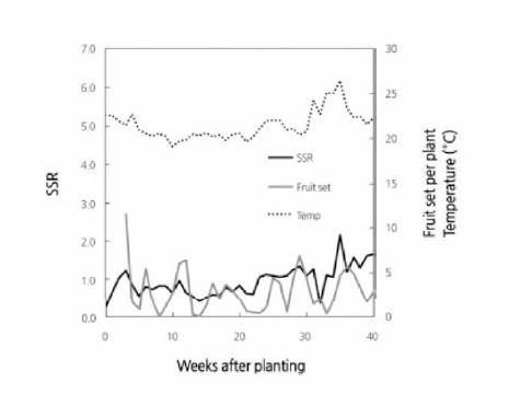 국내 파프리카 ‘더비’의 재배 기간동안 Source-Sink ratio와 M시간 평균온도. 자료출처: Kleijbeuker와 Lee 2019 원예과학기술지 37(2) 219-226