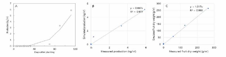 협동기관에서 수집된 대과종 토마토 데이터의 정식 후 일수에 따른 생육모델의 생산량과 생산량 예측(A), 실제 생산량과 예측생산량 1:1비교(B), 실제 생식기관 생장량과 예측된 생식기관 생장량 1:1비교(C)