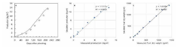 협동기관에서 수집된 파프리카 데이터의 정식 후 일수에 따른 생산량과 생육모델의 생산량 예측(A)，실제 생산량과 예측생산량 1:1비교(B)，실제 생식기관 생장량과 예측된 생식기관 생장량 1:1비교(C)