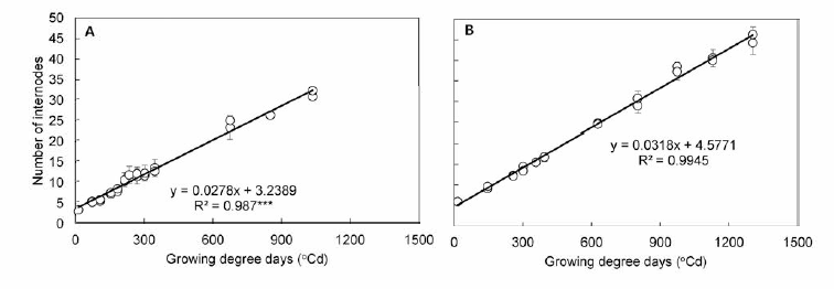 토마토 ‘데프니스’ (A ) 와 ‘베타티니’(리 의 생육 도일에 따른 절간수의 변화