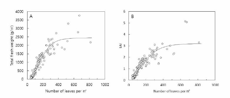 딸기의 단위면적당 엽병수와 총 생체중(A )，엽면적지수(B )의 관계