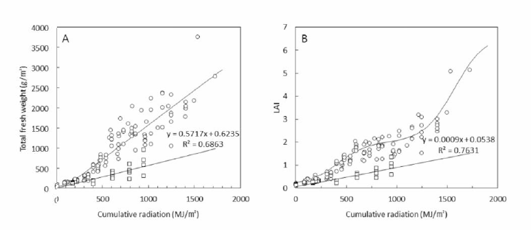 딸기의 적산광량과 총 생체중(A)，엽면적지수(B)의 관계