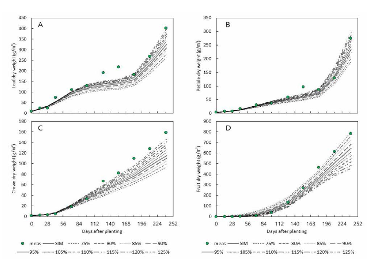 딸기의 동화산물분배율 변화에 따른 엽(A), 엽병 (B), 관부(C), 과일(D) 기관별 예측 생장량