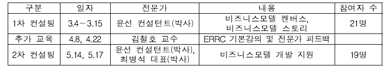 컨설팅 전체 일정