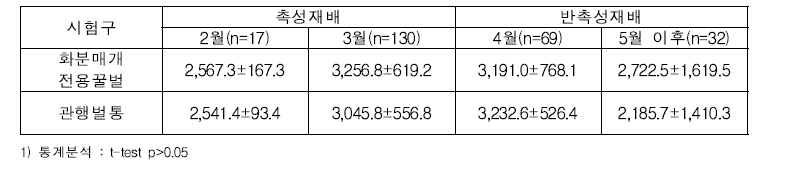 착과시기별 관행 벌통과 표준화 화분매개 벌통 간 수박 착과율