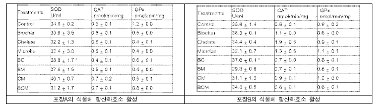 포장 A와 B 여름재배 멜론의 항산화효소 활성