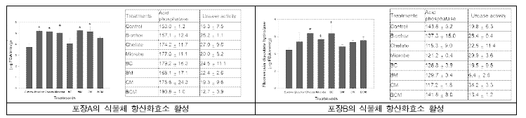 포장 A와 B 여름재배 멜론 토양의 미생물효소 활성