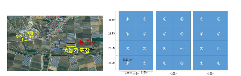 천안 A농가 시험포장 위치 및 처리구 배치도