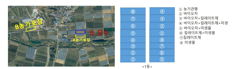 천안 B농가 시험포장 위치 및 처리구 배치도