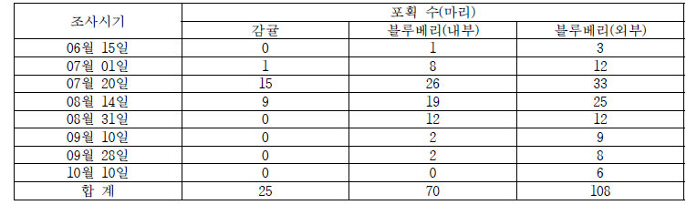 알락하늘소 트랩에 따른 성충 포획 수