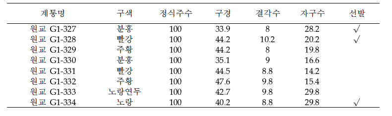 선인장 우량 3차 계통 특성 조사(조사일 12.2)