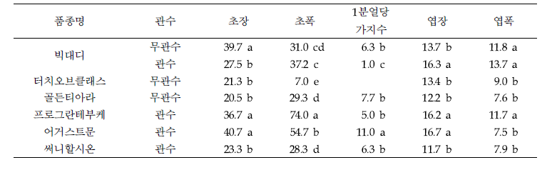 호스타의 관수 유무에 생육 차이 (무관수구:정식 2년차, 관수구: 정식 1년차)