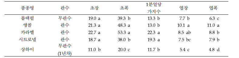 휴케라의 관수 유무에 생육 차이 (무관수구:정식 2년차, 관수구: 정식 1년차)