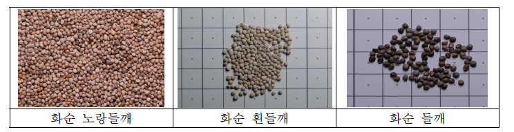 화순군 들깨 종류