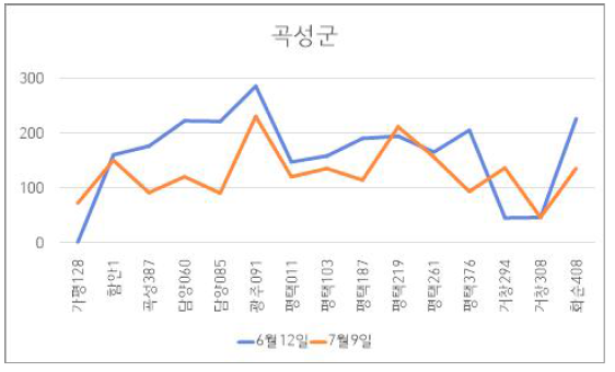 곡성군 파종시기에 따른 수확량 비교