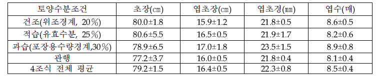 4조 기계정식 및 토양 수분 조건에 따른 양파 생육 특성(조사일 : 5.6)