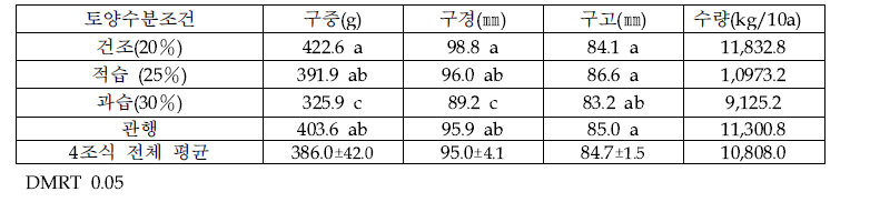 4조 기계정식 및 토양 수분 조건에 따른 양파 구 및 수량 특성(조사일 : 8.2)