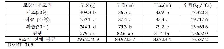 8조 기계정식 및 토양 수분 조건에 따른 양파 구 및 수량 특성(조사일 : 8.2)