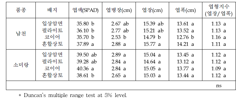 배지 종류별 잎들깨 잎 생육(11.23 조사)