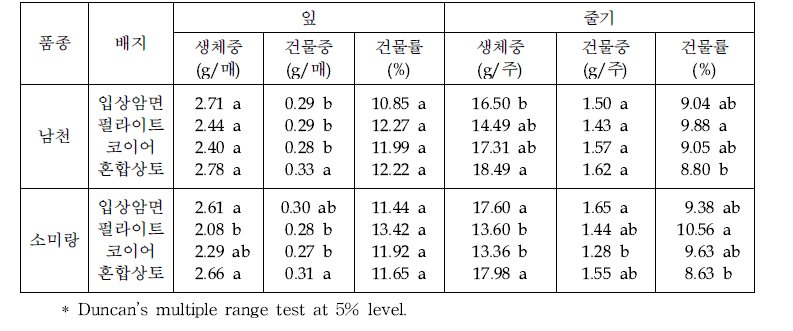 배지 종류에 따른 잎과 줄기의 생체중 및 건물중 차이(12.3 조사)