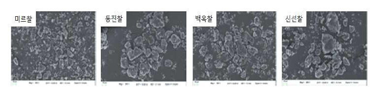 삭힌(9일) 후 품종별 입자크기