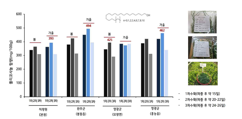 새싹보리 현장실증 시험지, 수확시기별 폴리코사놀 함량분석 결과